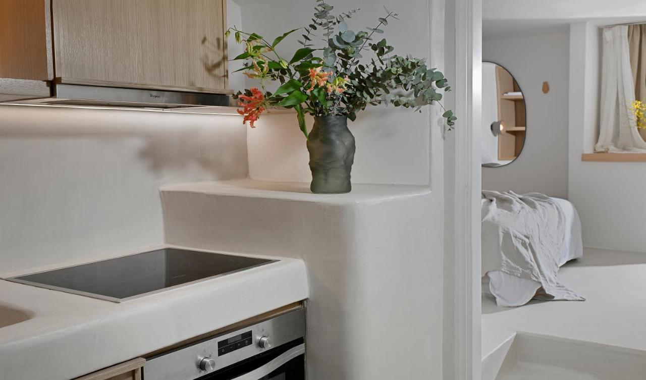 Vlia Mykonos Apartment Kalafatis Bagian luar foto