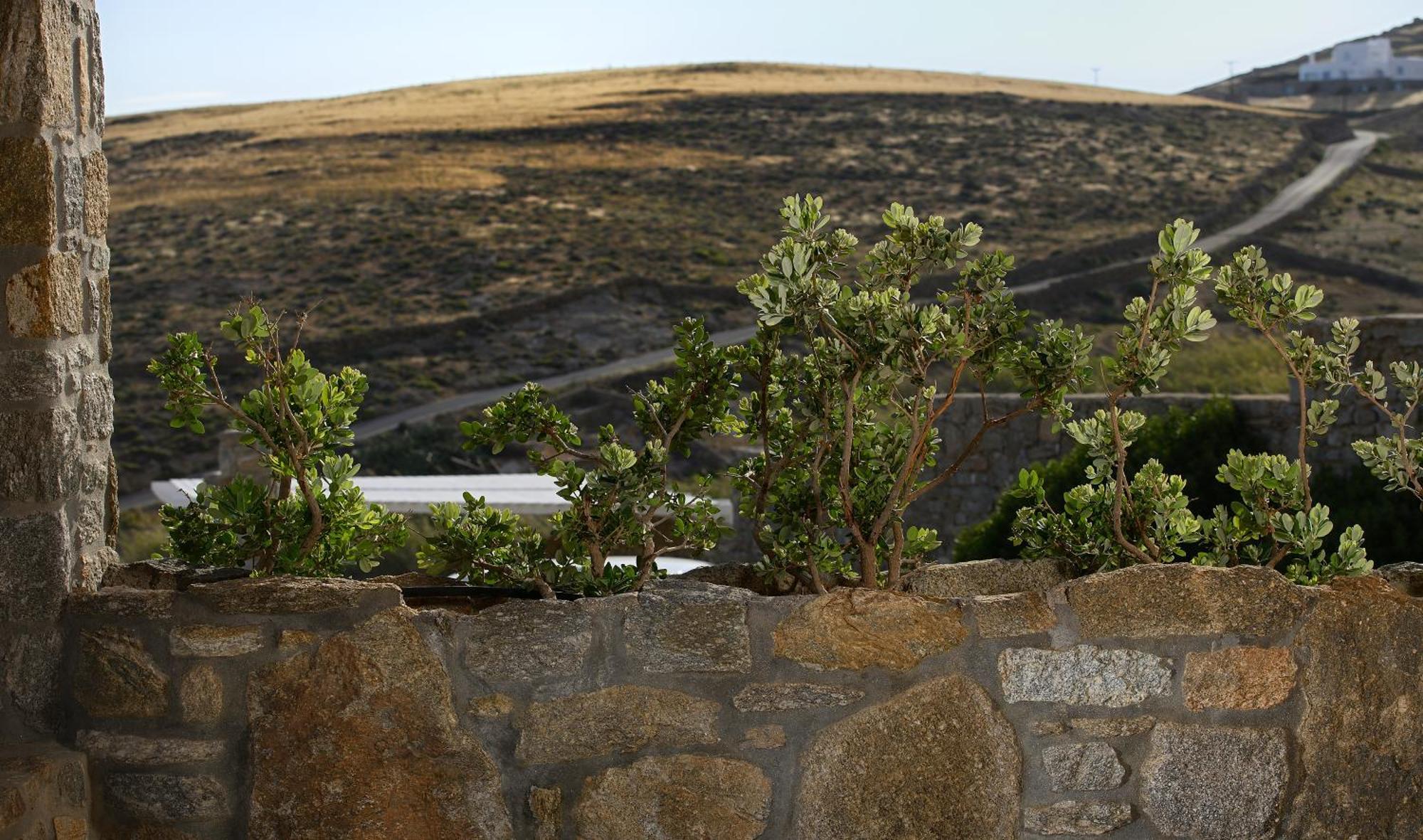Vlia Mykonos Apartment Kalafatis Bagian luar foto